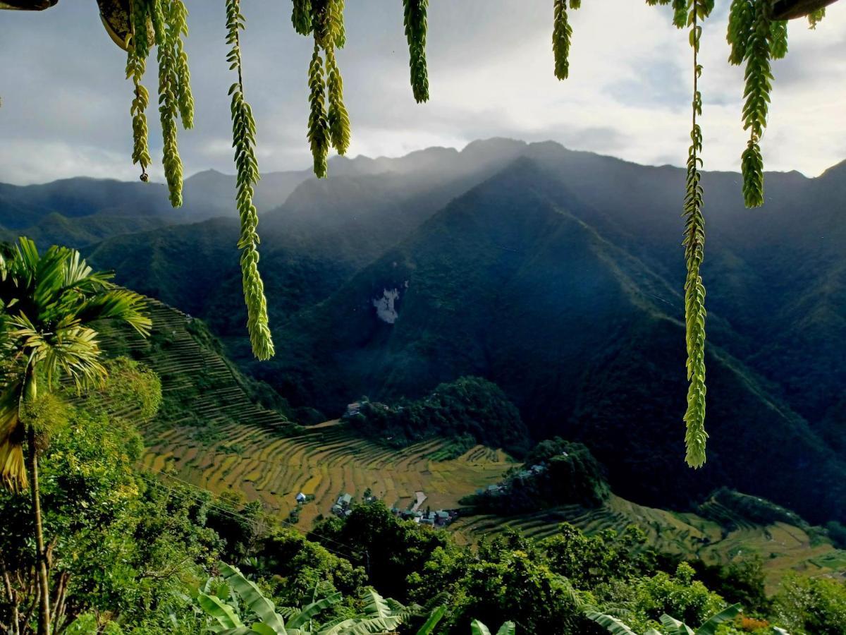 Batad Countryside Bed & Breakfast บาเนาเว ภายนอก รูปภาพ
